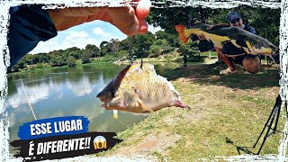 QUAL PEIXE SERÁ QUE FEZ ISSO Pesqueiro tambury [upl. by Aehc]