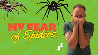 Nightmares Realized Dealing with My Fear of Spiders [upl. by Lorain]