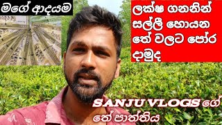 ලක්ෂ ගනන් සල්ලි හොයන තේ වලට පෝර දාමූ Shillong tea Sanju vlogs [upl. by Errick]