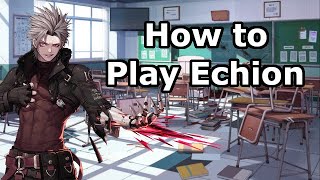 How to Play Echion  Immortal Soul Black Survival Guides [upl. by Elyn]