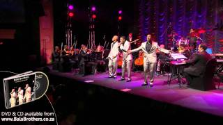 Bala Brothers  Circle Of Life Live at Emperors Palace [upl. by Dacia627]