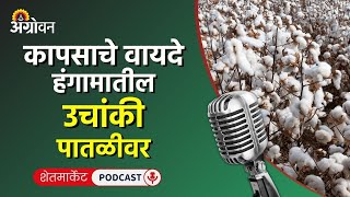 Garlic Market लसणाच्या भावाने गाठला विक्रमी भाव  Agrowon  ॲग्रोवन [upl. by Armelda]