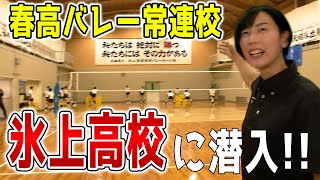 【春高バレー】予選突破直後！氷上高校女子バレー部に潜入取材！！【兵庫県代表】 [upl. by Lebyram]