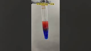 Fehling Test Experiment biochemistry Laboratory test [upl. by Lhok]