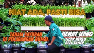 Bisa Hemat Uang dan Obat Stres dengan Berkebun di Pekarangan Rumah [upl. by Essined]