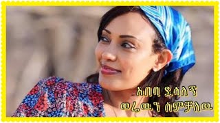 አበባ ደስአለኝ  ወሬዉን ሰምቻለዉ  Abeba desalegn music  Werewen Semchalew ethiopianmusic [upl. by Cindee486]