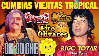 💃CUMBIAS VIEJITAS CLASICAS ✨ CHICO CHE ACAPULCO TROPICAL RIGO TOVAR FITO OLIVARES XAVIER💚 [upl. by Lowry]