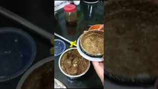 mooli ki chatpati chatni😋 chatnishort food [upl. by Horten480]