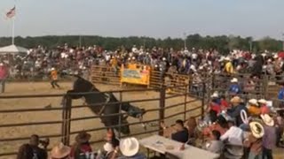 Jaripeo en hammonton nj eldemorelos jaripeo rodeotierracaliente rodeo [upl. by Fabron]