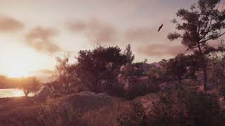 Ambient Assassins Creed Odyssey  Eumaioss Pig Farm [upl. by Sophey663]