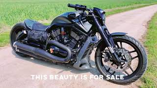 HD Night Rod Special 2015 280 Airride [upl. by Saw]