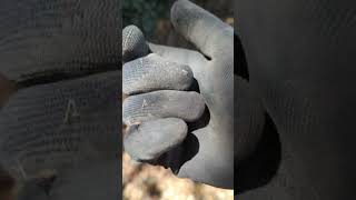 I Thought I found a Trime treasure treasurehunting metaldetecting silver coin find vlog [upl. by Prevot]