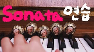 피아노 소나타가 쉬워지는 연습법 Mozart Sonata K310 1st mov [upl. by Aicemak]