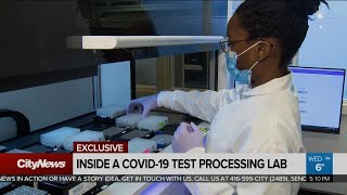 How accurate are COVID19 swab tests [upl. by Ahsyat]