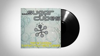 The Sugarcubes  Regina [upl. by Samanthia892]