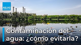 💧🌊¿Cómo REDUCIR la contaminación del AGUA💧🌊 [upl. by Leighland]