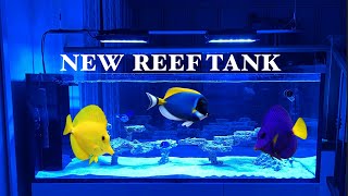 My Waterbox Peninsula Reef Aquarium Setup Ep 1 [upl. by Atika]