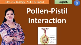 Pollen  Pistil Interaction Class 12 Biology [upl. by Eilime]