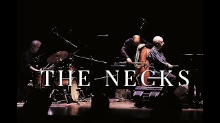 The Necks  excerpt live at MountEcho Italy [upl. by Charo69]