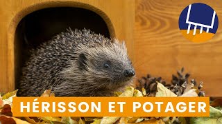 Construire un hôtel à hérisson  un refuge cosy pour nos amis du jardin  🦔 [upl. by Alyk977]