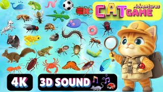 CAT Games Adventures  Ultimate Cat TV Compilation Vol 25  SPECIAL EPISODE 8 HOURS🐝🐞🦋🦎🦜🐜🐭🧵 NO ADS [upl. by Voorhis]