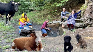 An Exciting Day with Nomads in Northern Iran  Restoring the Oldest Mountain Spring in the Forest [upl. by Rockel]