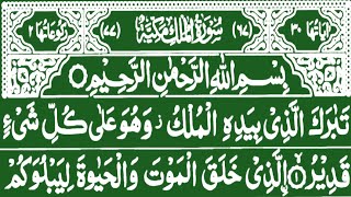 Surah AlMulk  QariSultanAbuSaeed سورۃ الملک قاری سلطان ابوسعید Tarteelulquran [upl. by Osnerol]