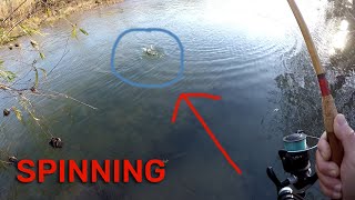 PESCARE A SPINNING NEL FIUME  Pesca con Minnow [upl. by Davon]