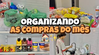 ORGANIZANDO AS COMPRAS DO MÊS morando sozinha🏠✨ [upl. by Elka]