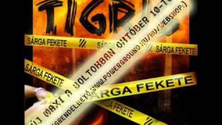 Tigris  Sárga fekete [upl. by Erroll80]