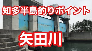 矢田川 知多半島釣りポイント [upl. by Artinad]