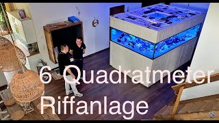 6 Quadratmeter 4000 Liter MEERWASSER Aquarium von Häppy mit Schlangenfilter [upl. by Ecirbaf]