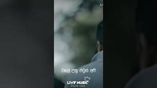 Shan Putha New Rap ශාන් පුතා අලුත් එක  Shan Putha New Rap Sinhala trendingshorts shanputha [upl. by Ailsa]