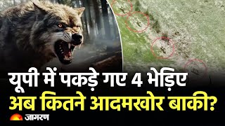 Hindi News Live Bahraich Wolf Attack  Weather Update  Elvish Yadav  Today News  Breaking News [upl. by Aretha541]