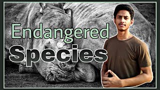 Endangered Species in Hindi [upl. by Emalee819]