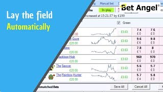 Lay the field  Betfair trading strategies  Automate it on Bet Angel [upl. by Oniotna45]