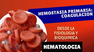 COAGULACION Hemostasia primaria desde la fisiología y bioquímica  Hematología [upl. by Anidene100]