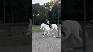 Watch that stirrup horse stirrups trend viral viralshorts shorts [upl. by Ydnil360]