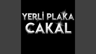 Yerli Plaka Cakal Live [upl. by Anitsahs]