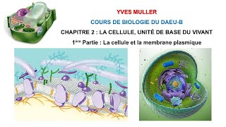 Chapitre 2 – 1ère Partie  La cellule et la membrane plasmique  Cours de Biologie du DAEUB [upl. by Yvon]