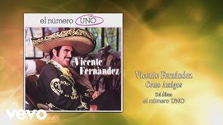 Vicente Fernández  Como Amigos Cover Audio [upl. by Amapuna]