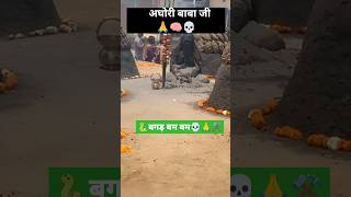 बगड़ बम बम । बम लहरी । bum lehri  shiv  अघोरी बाबा जी । शिव तांडव shorts shiv aghori tandav [upl. by Anazraf]