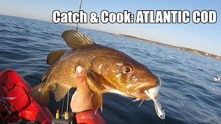 Catch amp Cook 38 ATLANTIC COD [upl. by Mharba]