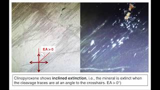 Distinguishing between cpxopx in thin section [upl. by Nadean]