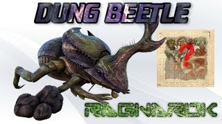 Ragnarok  Where to find Dung Beetles [upl. by Rellek]