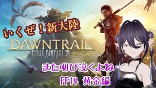 【FF14】毎回むせび泣きながら進む黄金のレガシー初見プレイ配信 part84 【VTuber】 [upl. by Ursa]