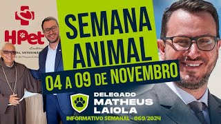 Resumo da semana  Delegado Matheus Laiola [upl. by Ecurb]