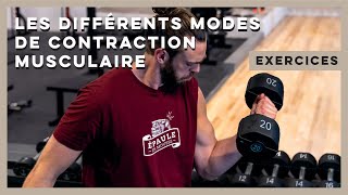 Comprendre les différents modes de contraction musculaire  concentrique isométrique et excentrique [upl. by Domella288]