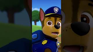 paw patrol investigates a ghost ship shorts [upl. by Atsugua]