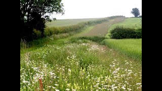 Mid Tier Countryside Stewardship Advice Webinar [upl. by Wyne]